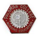 Picture of Sterling Silver Palomar College RN Pin with Diamond